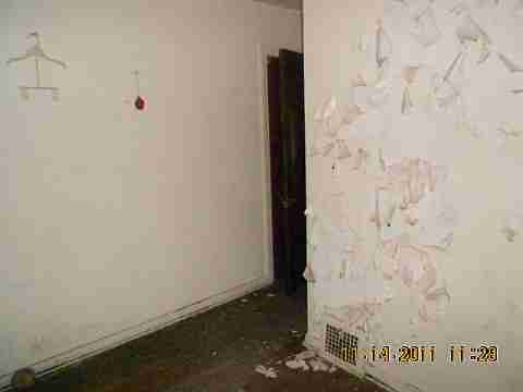 7485 American (29)_m.jpg